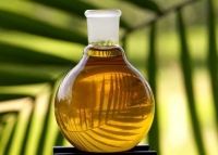 roghan-palm