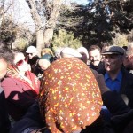 emamzade-taher-6-150x150